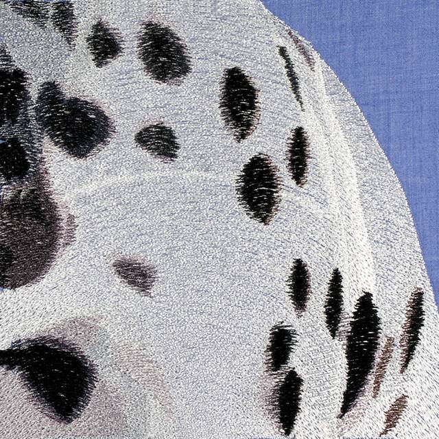 BFC0662 Window - A Dalmatian