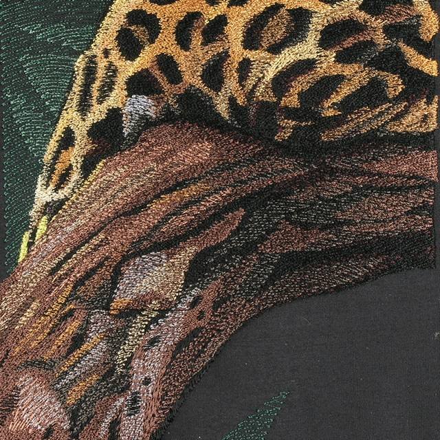 BFC0668 Window-Jaguar