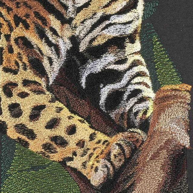 BFC0668 Window-Jaguar