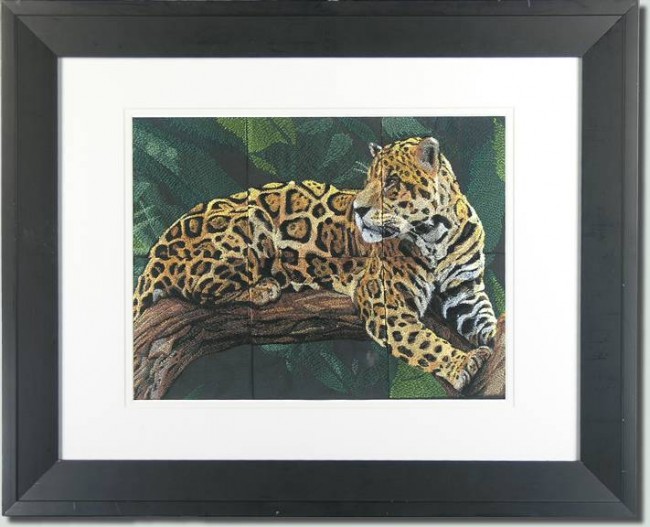 BFC0668 Window-Jaguar