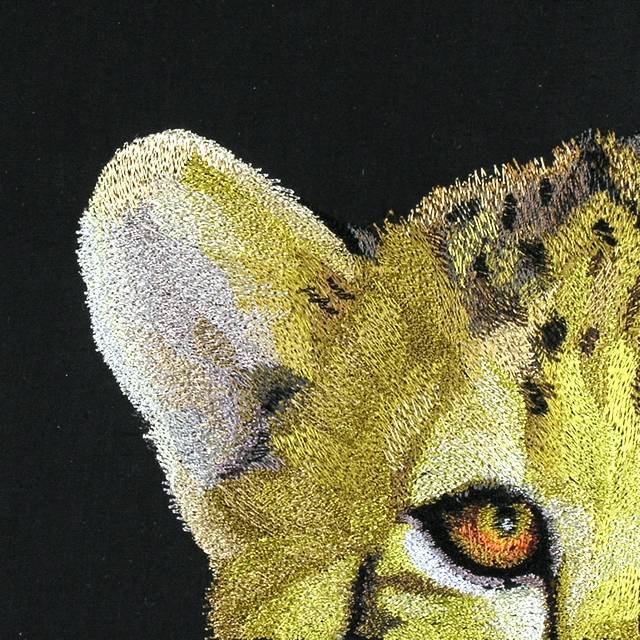BFC0670 Window-Cheetah