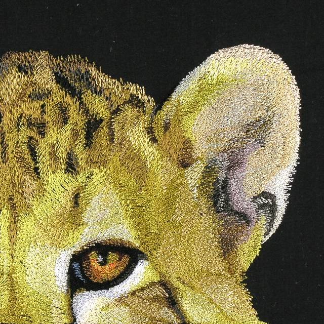 BFC0670 Window-Cheetah