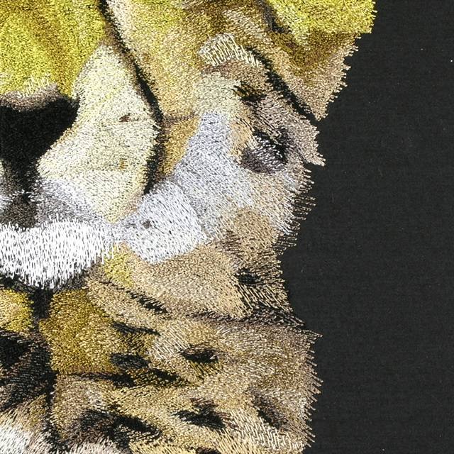 BFC0670 Window-Cheetah