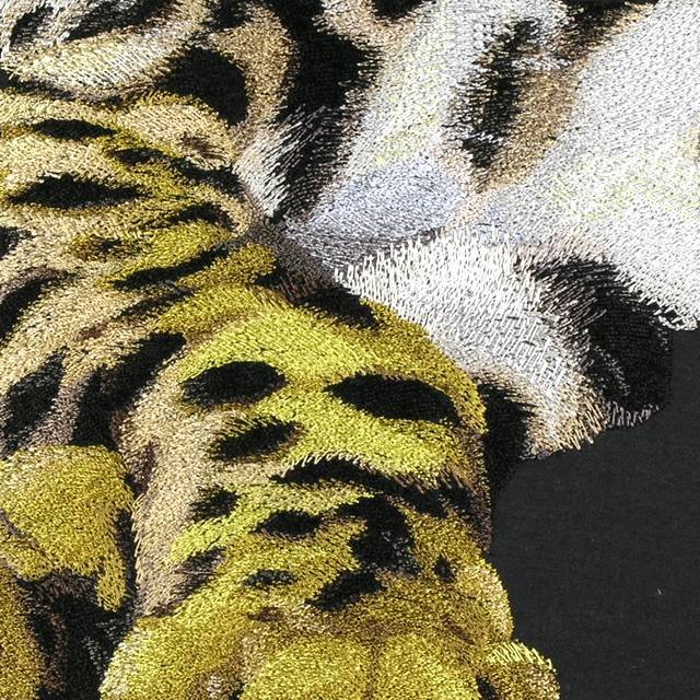 BFC0670 Window-Cheetah
