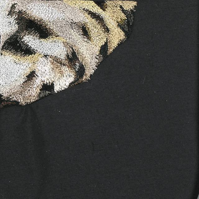 BFC0670 Window-Cheetah
