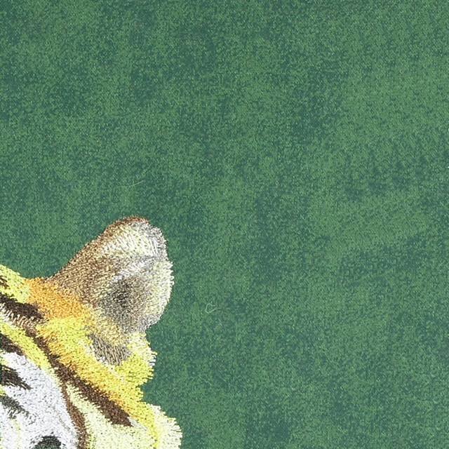 BFC0672 Window-Big Cat Medley