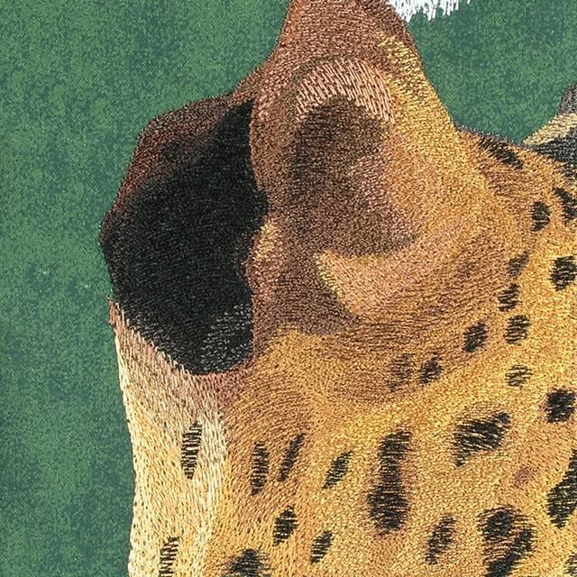 BFC0672 Window-Big Cat Medley