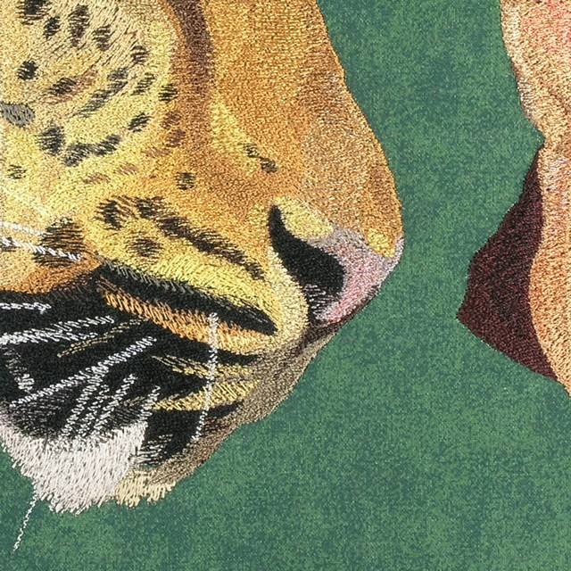BFC0672 Window-Big Cat Medley