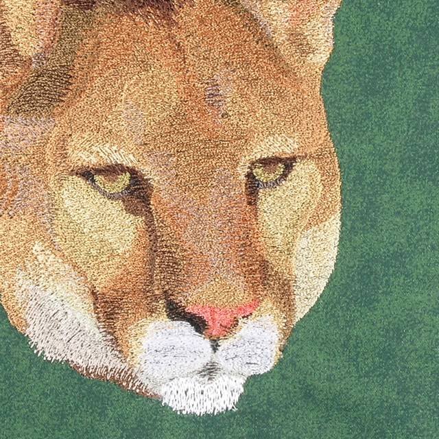 BFC0672 Window-Big Cat Medley