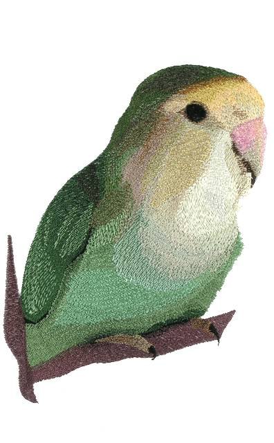 BFC0674 Lovebirds and Finches