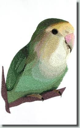 BFC0674 Lovebird No. 3