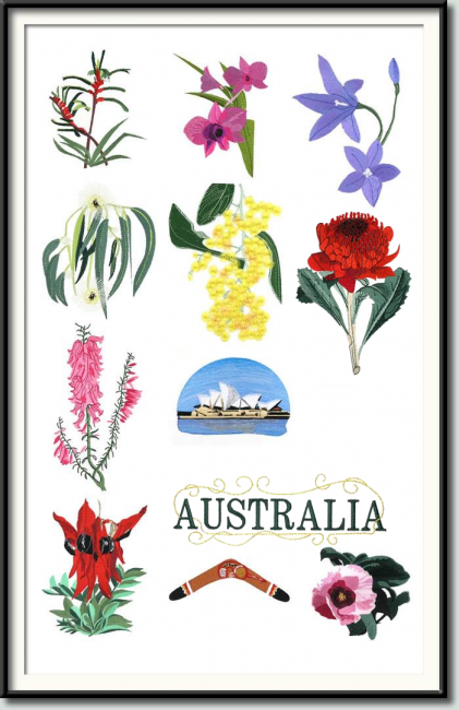 BFC0676 Australian Window Designs