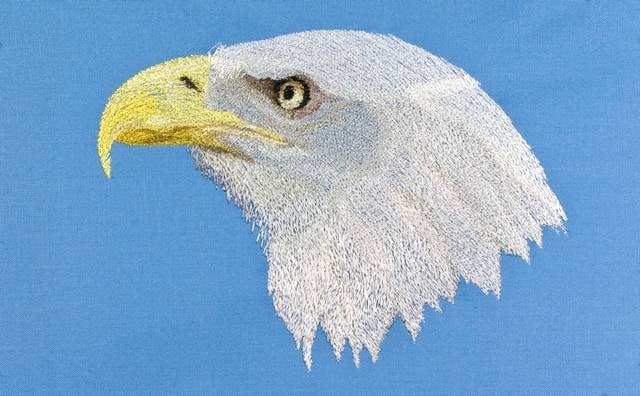 BFC0680 Portraits-Eagles