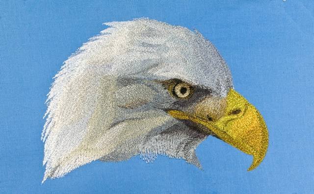 BFC0680 Portraits-Eagles