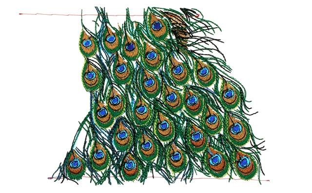 BFC0683 Peacock