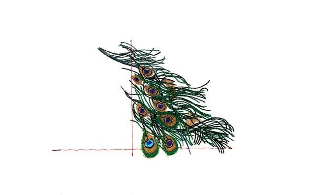 BFC0683 Peacock