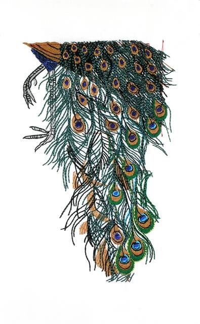 BFC0683 Peacock
