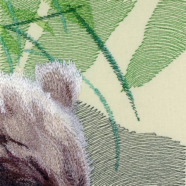 BFC0685 Window-Bear Cubs