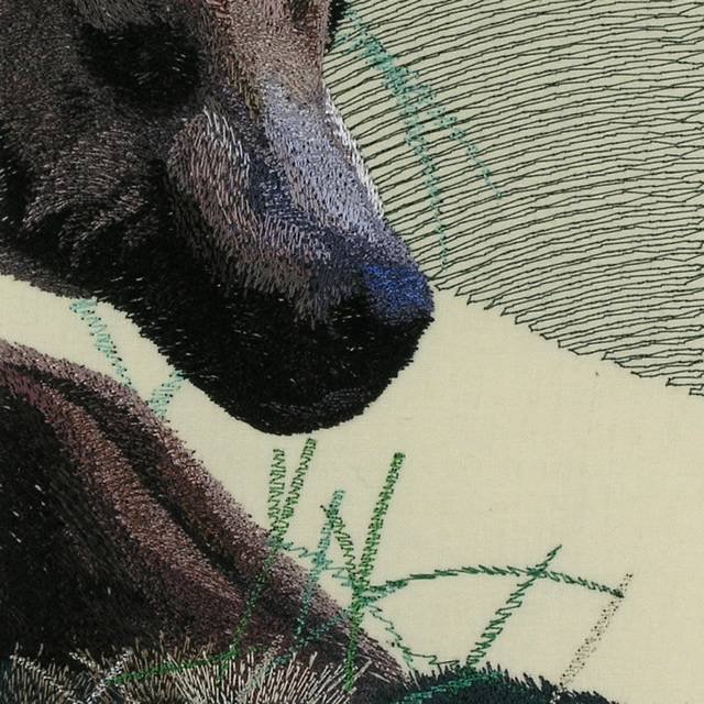 BFC0685 Window-Bear Cubs