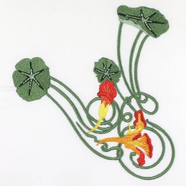 BFC0693 Nasturtiums