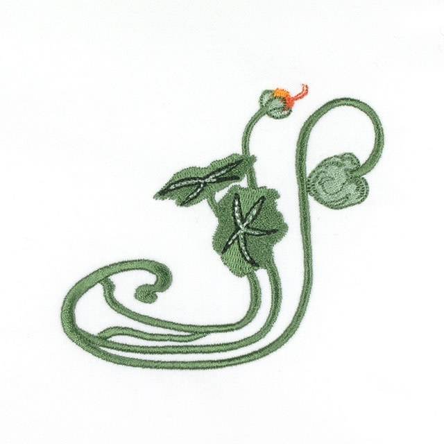 BFC0693 Nasturtiums