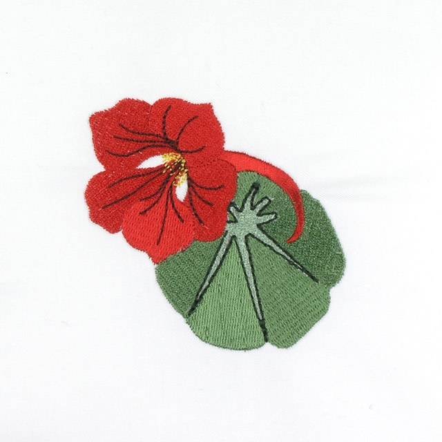 BFC0693 Nasturtiums