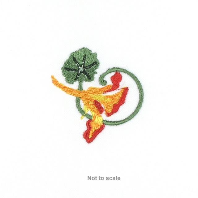 BFC0693 Nasturtiums