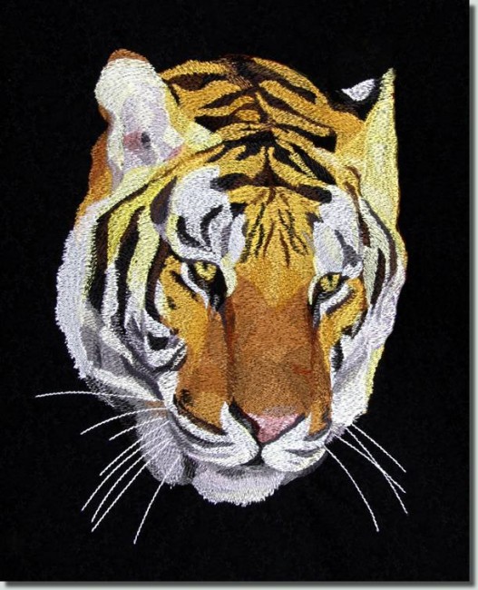 BFC0704 A Large Tiger and Dragon