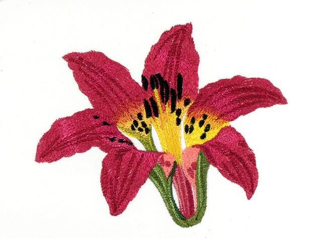 BFC0710 Elegant Flowers