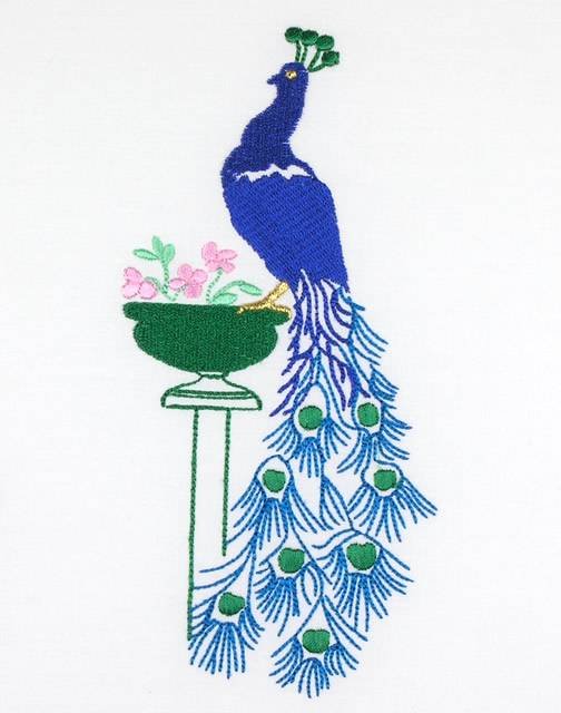 BFC0714 A Dozen Peacocks