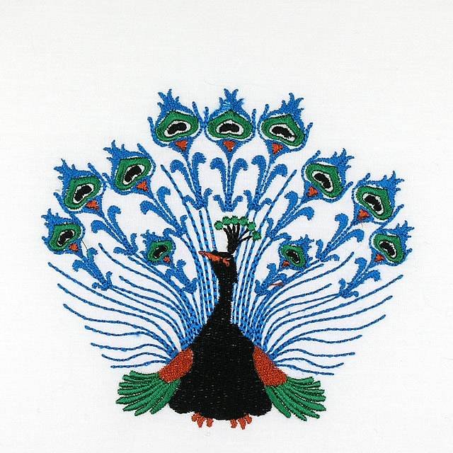 BFC0714 A Dozen Peacocks