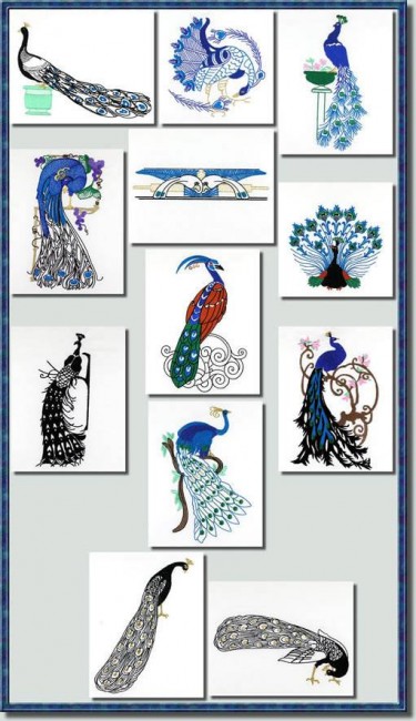 BFC0714 A Dozen Peacocks