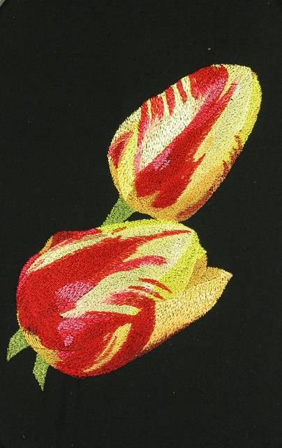 BFC0717 Still Life - Tulips