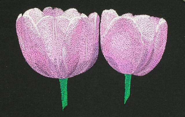 BFC0717 Still Life - Tulips