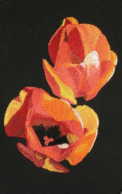 BFC0717 Still Life - Tulips