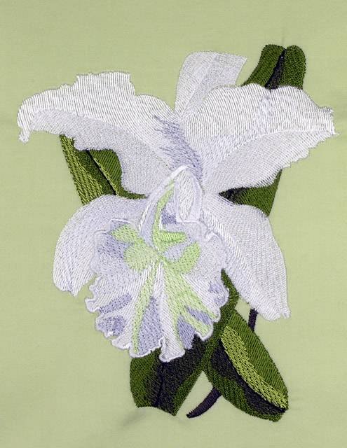 BFC0722 Tropical Flowers