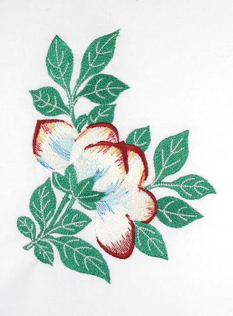 BFC0727 Variegated Flowers
