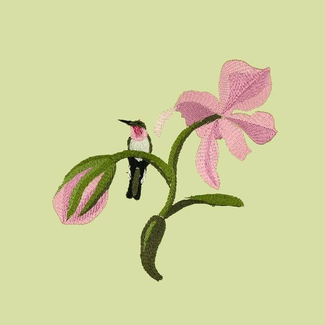 BFC0735 Orchid Jungle Designs