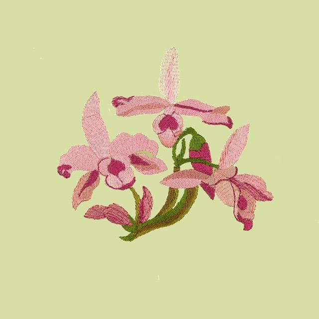 BFC0735 Orchid Jungle Designs
