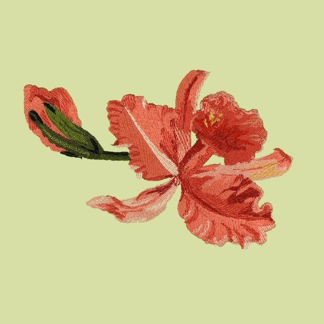 BFC0735 Orchid Jungle Designs