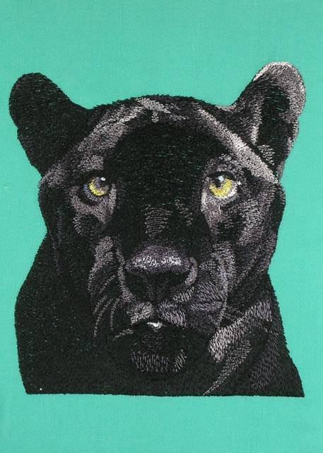BFC0736 Two Panther Portraits