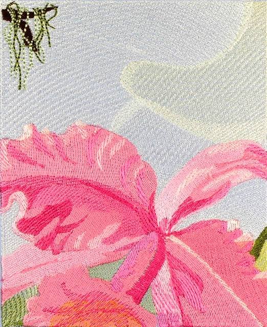 BFC0740 Window-Hummingbirds and the Orchid