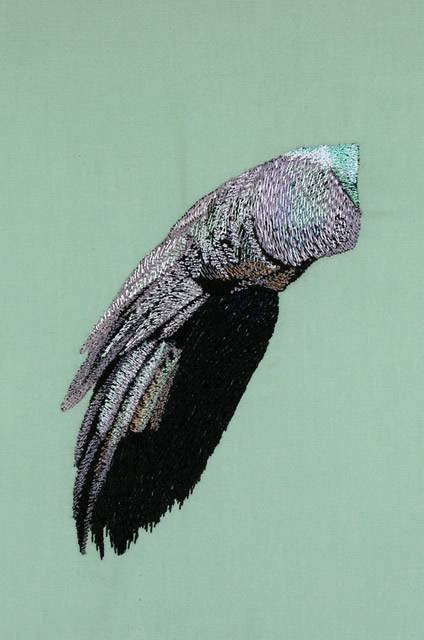 BFC0741 Large Peacock by Fred