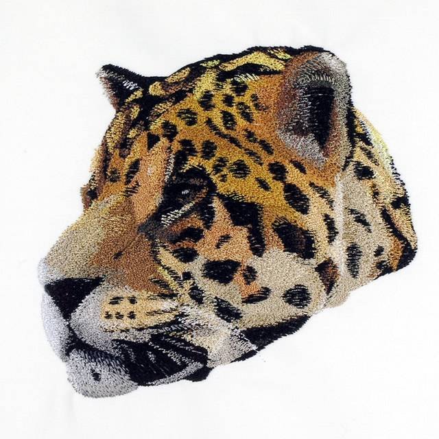 BFC0744 Two Jaguar Portraits