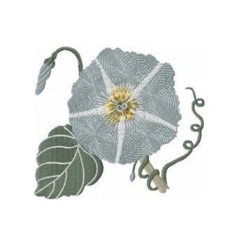 RMG757 Vintage Floral 6
