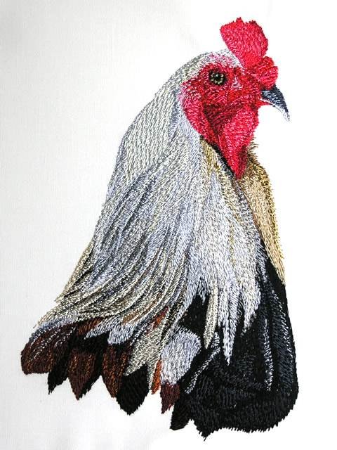 BFC0760 Portraits-Roosters