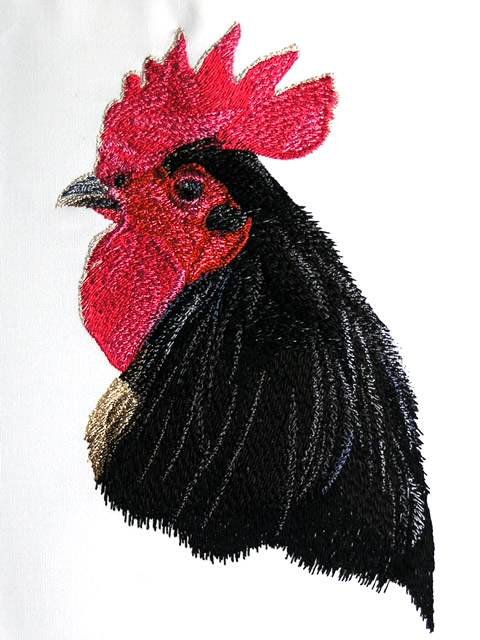 BFC0760 Portraits-Roosters