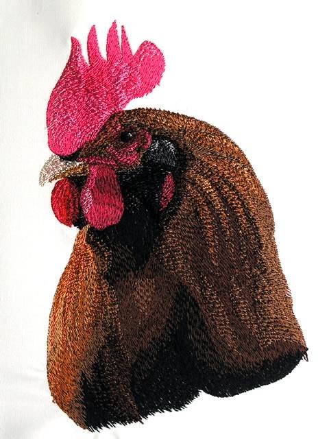 BFC0760 Portraits-Roosters