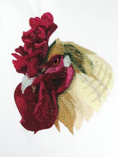 BFC0760 Portraits-Roosters