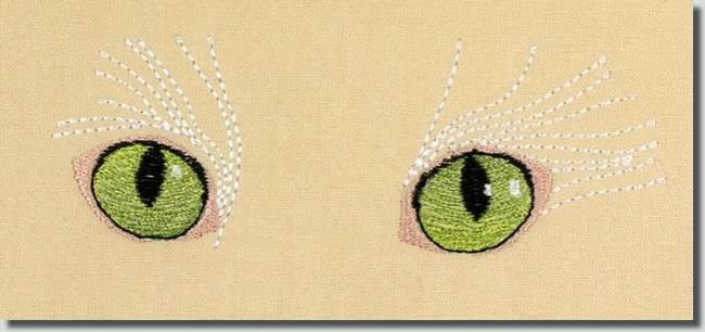 BFC0763 The Cats Eyes Have It